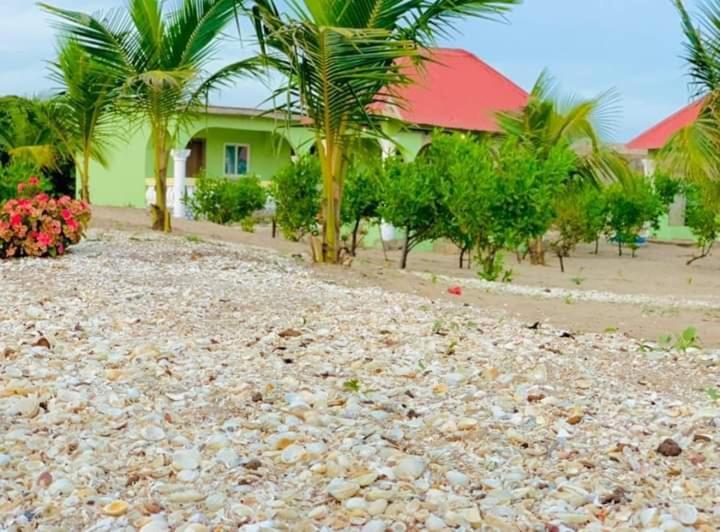Bosofet Beach And Creek Lodge Sanyang Eksteriør billede
